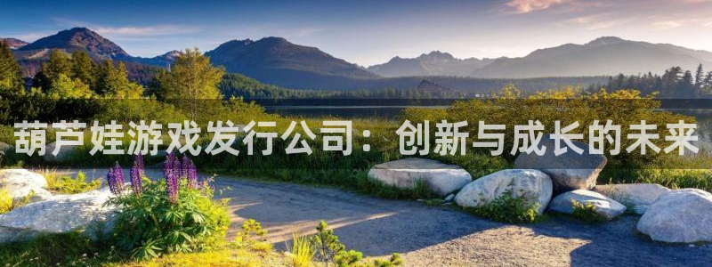 db电竞注册开户：葫芦娃游戏发行公司：创新与成长的未来