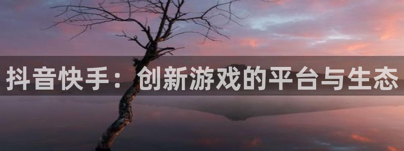 广州db电竞投资管理顾问有限公司：抖音快手：创新游戏的平台与生态