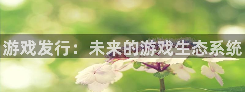 db电竞智邦(北京)品牌策划有限公司：游戏发行：未来的游戏生态系统