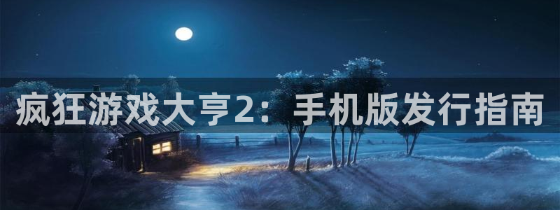 db电竞电子商务有限公司：疯狂游戏大亨2：手机版发行指南