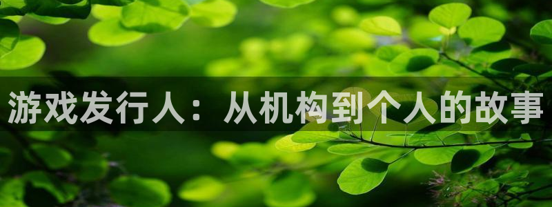 db电竞官网注册登录失败：游戏发行人：从机构到个人的故事