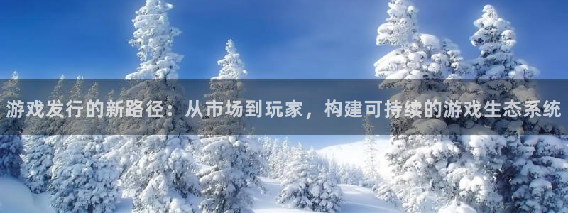 db电竞啤酒多少钱一箱：游戏发行的新路径：从市场到玩家，构建可持续的游戏生态系统