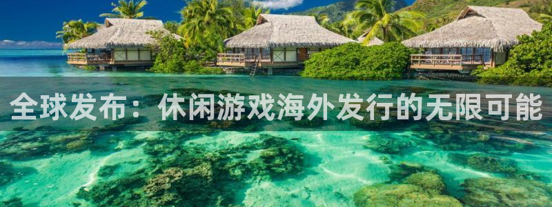 广州db电竞投资管理顾问有限公司：全球发布：休闲游戏海外发行的无限可能