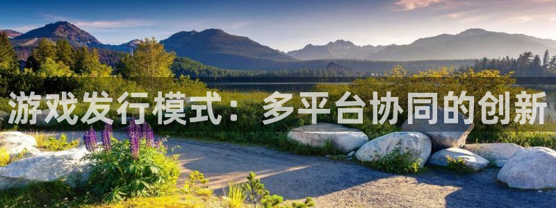 db电竞官网平台合法吗：游戏发行模式：多平台协同的创新