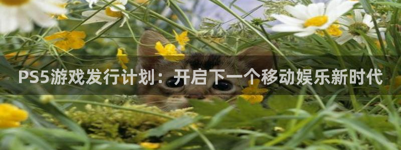 db电竞官网注册平台登录入口：PS5游戏发行计划：开启下一个移动娱乐新时代