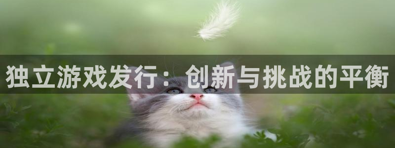 db电竞装饰：独立游戏发行：创新与挑战的平衡