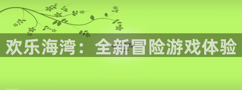db电竞是什么品牌：欢乐海湾：全新冒险游戏体验