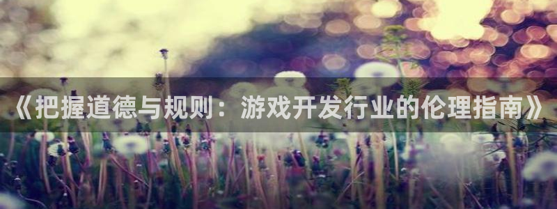 db电竞官网挂机项目怎么样：《把握道德与规则：游戏开发行业的伦理指南》