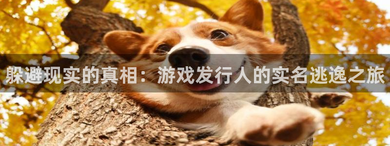 db电竞官网的奇趣腾讯是真的吗知乎：躲避现实的真相：游戏发行人的实名逃逸之旅