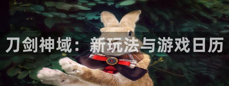 江苏db电竞人力资源有限公司怎么样